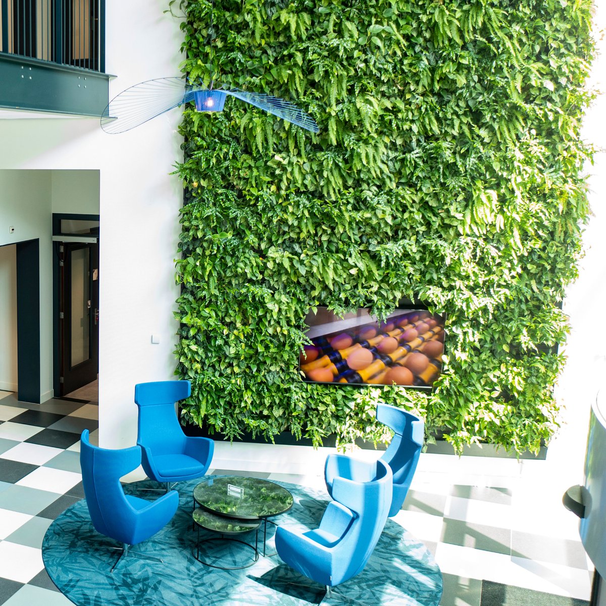 Inside this Moba office, you will find a green wall measuring 4 metres wide and as much as 10 metres high.

#vericalgarden #indoorgreen