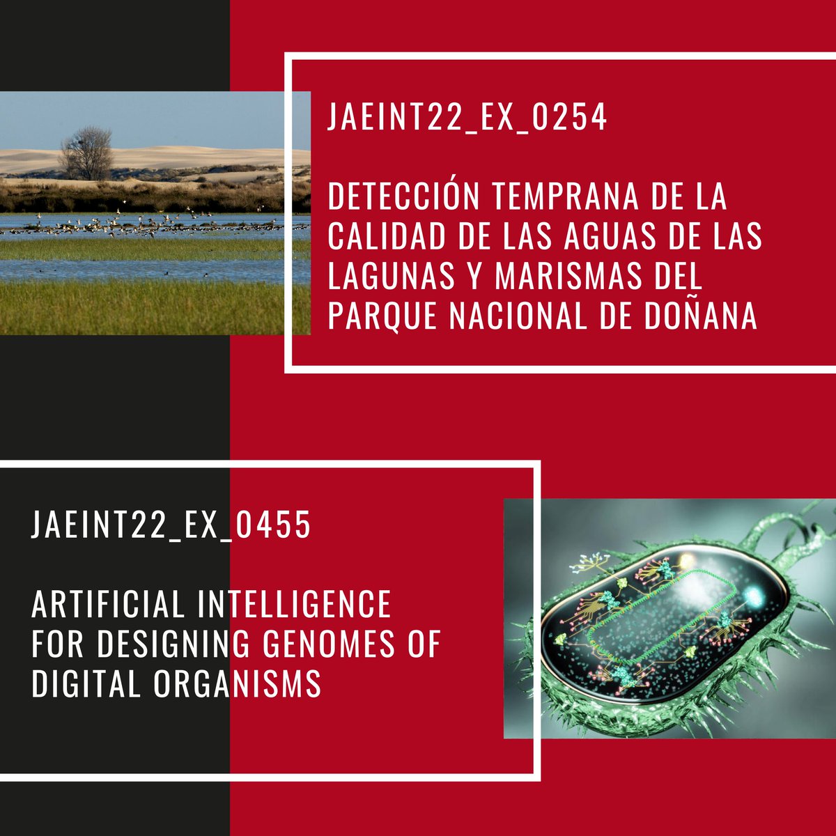 ebdonana's tweet photo. 🔵 Detección temprana de la calidad de aguas de las lagunas y marismas del Parque Nacional de Doñana. Responsable: Joaquín Cobos

⚪️Artificial intelligence for designing genomes of digital organisms. Responsable: @labfortuna https://t.co/BSaIFG1sn7