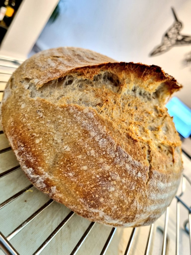 LamnidaeBlue's tweet image. Look at the mohawk on my latest batch 😋 

Homemade sourdough brings me immense joy.