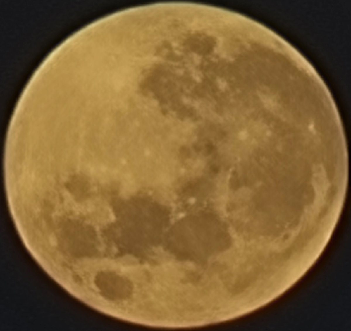 matteovinci's tweet photo. Another gorgeous Karlawinda Moon 📷🌑

#fifo #fifolife #fifolifeaustralia #karlawinda #capricorn #westernaustralia #moon #moonshot https://t.co/colDdIvSs4