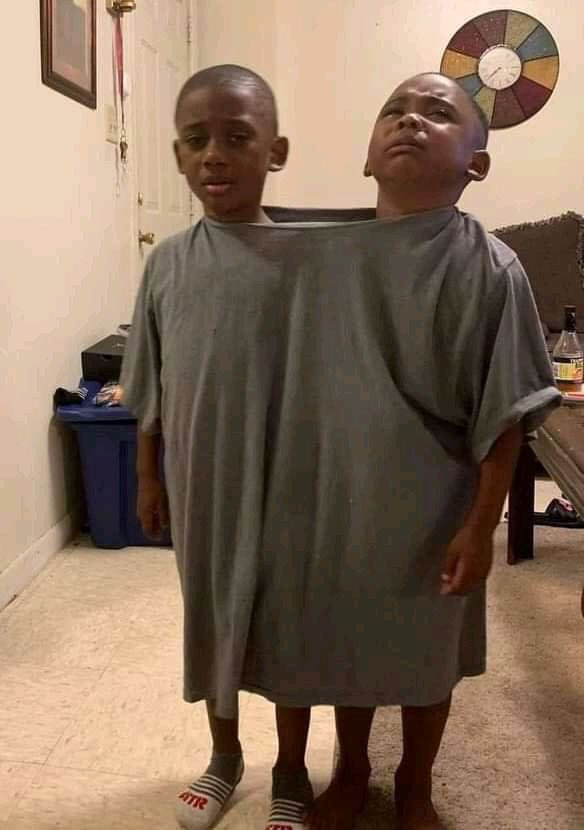 All they do is fight each other,this is their punishment…… they must learn to coexist
