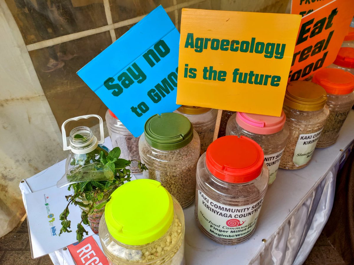 ummisabrin97's tweet photo. Healthy citizens are the greatest asset any country can have
#Agroecology4climatejustice https://t.co/ZTSUGX3OPu