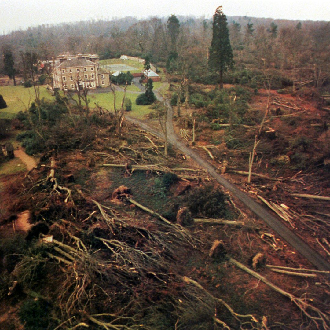 Forestry_UK's tweet photo. It's 35 years since the Great Storm of 1987 hit large parts of the UK - bringing down millions of trees with it. 

With winds gusting at up to 100mph, there was massive devastation across the country and 18 people were killed. About 15 million trees were blown down. https://t.co/ydyO6bhrIF