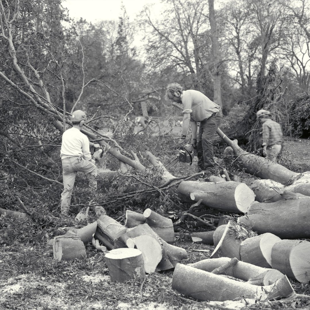 Forestry_UK's tweet photo. It's 35 years since the Great Storm of 1987 hit large parts of the UK - bringing down millions of trees with it. 

With winds gusting at up to 100mph, there was massive devastation across the country and 18 people were killed. About 15 million trees were blown down. https://t.co/ydyO6bhrIF