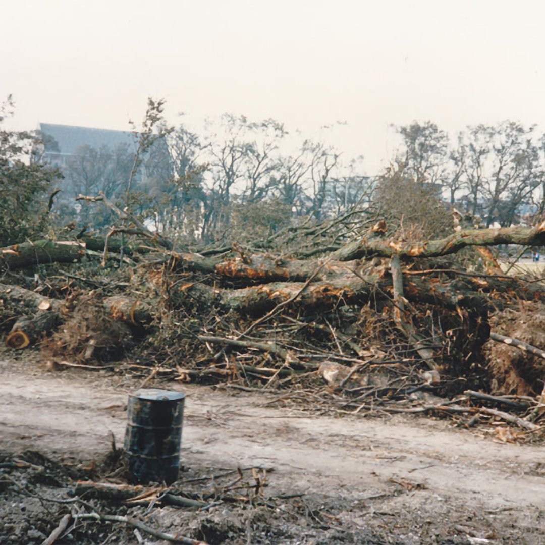 Forestry_UK's tweet photo. It's 35 years since the Great Storm of 1987 hit large parts of the UK - bringing down millions of trees with it. 

With winds gusting at up to 100mph, there was massive devastation across the country and 18 people were killed. About 15 million trees were blown down. https://t.co/ydyO6bhrIF