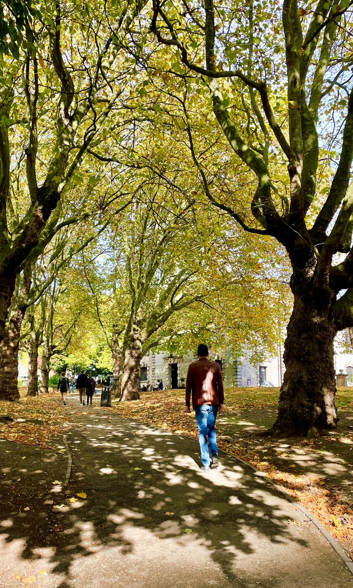 Bite Your Brum (she/her) tweet media