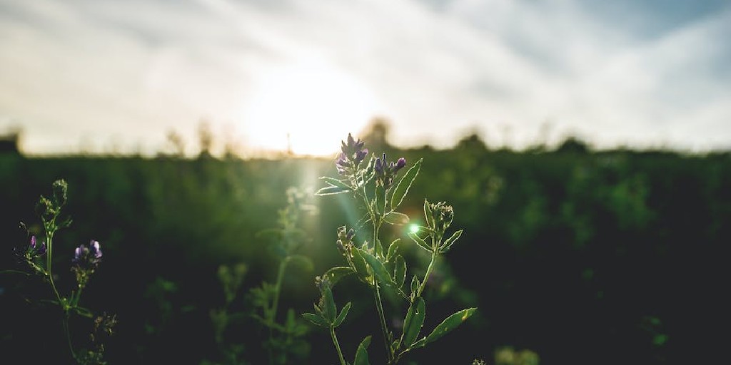 Good morning #Wimbledon - we hope that your weekend went well. Have a marvellous week #Monday