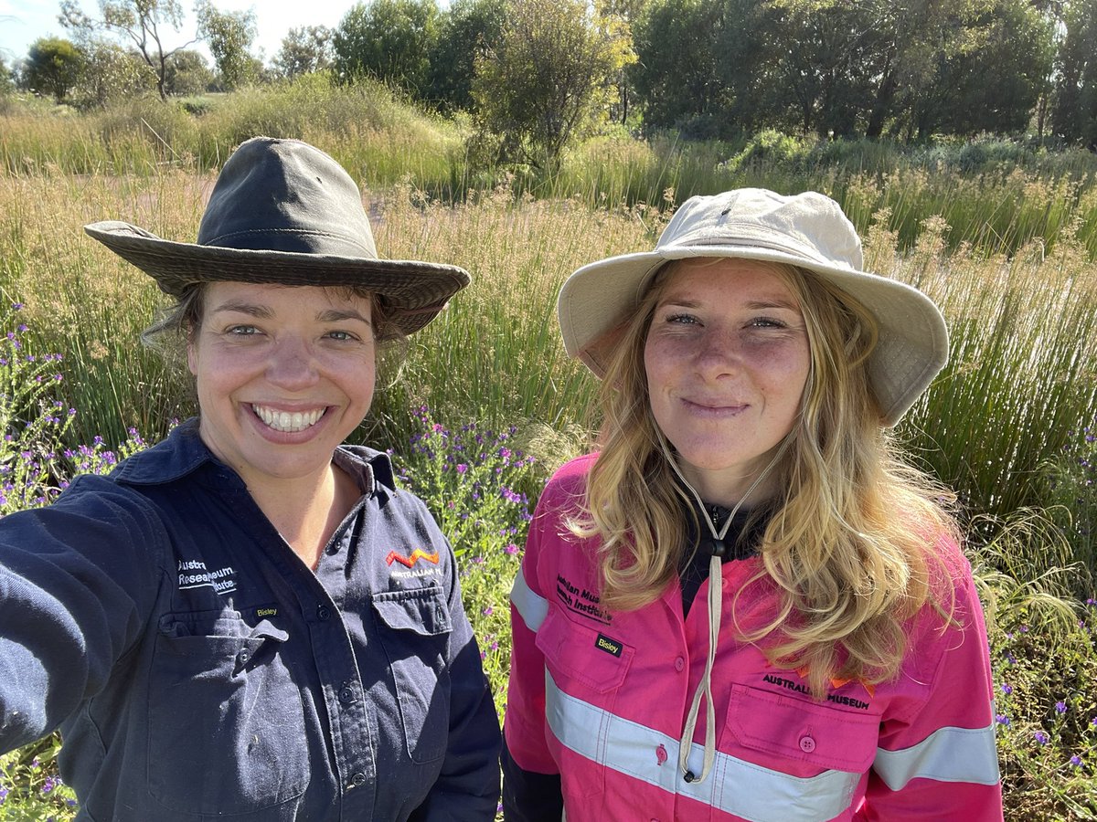 Jodi Rowley tweet media