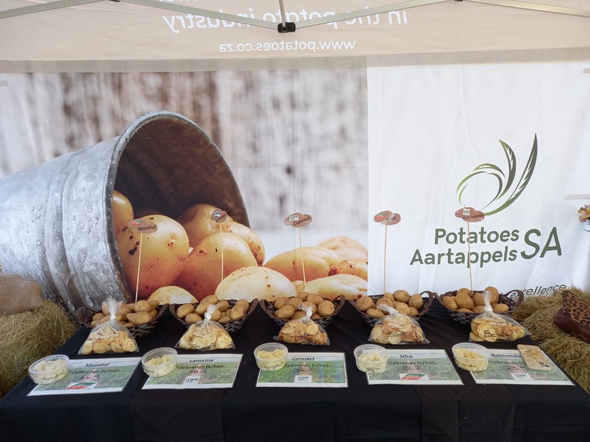 potatoes_za's tweet photo. Potatoes South Africa showed up and connected with farmers, community members and more at the Farmers Marketing Day 📢🚜🥔🌱 in Vivo, #Limpopo on 14 October 2022. "Gesondheid… uit die grond uit / Goodness from the Earth!"

#PotatoesSA | @potatoes_za | @Willie18674579 https://t.co/Vwb9Ufx66F