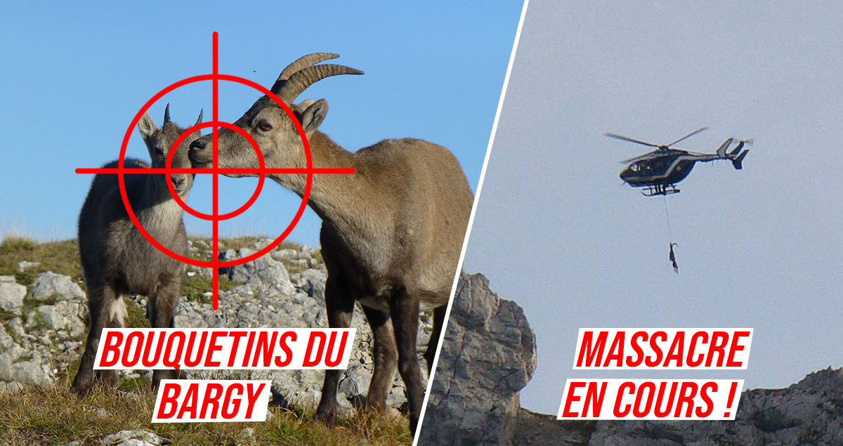 FNE Haute-Savoie tweet media