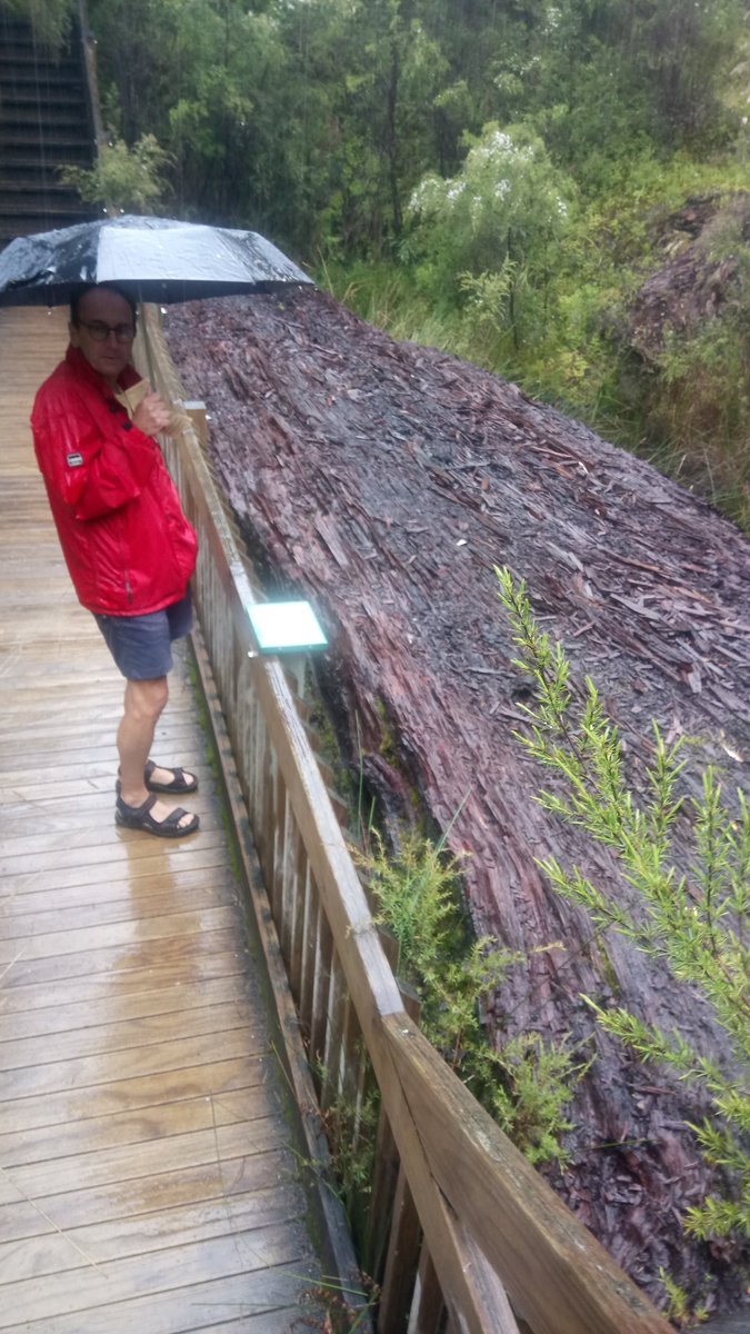 Environment GCA tweet media