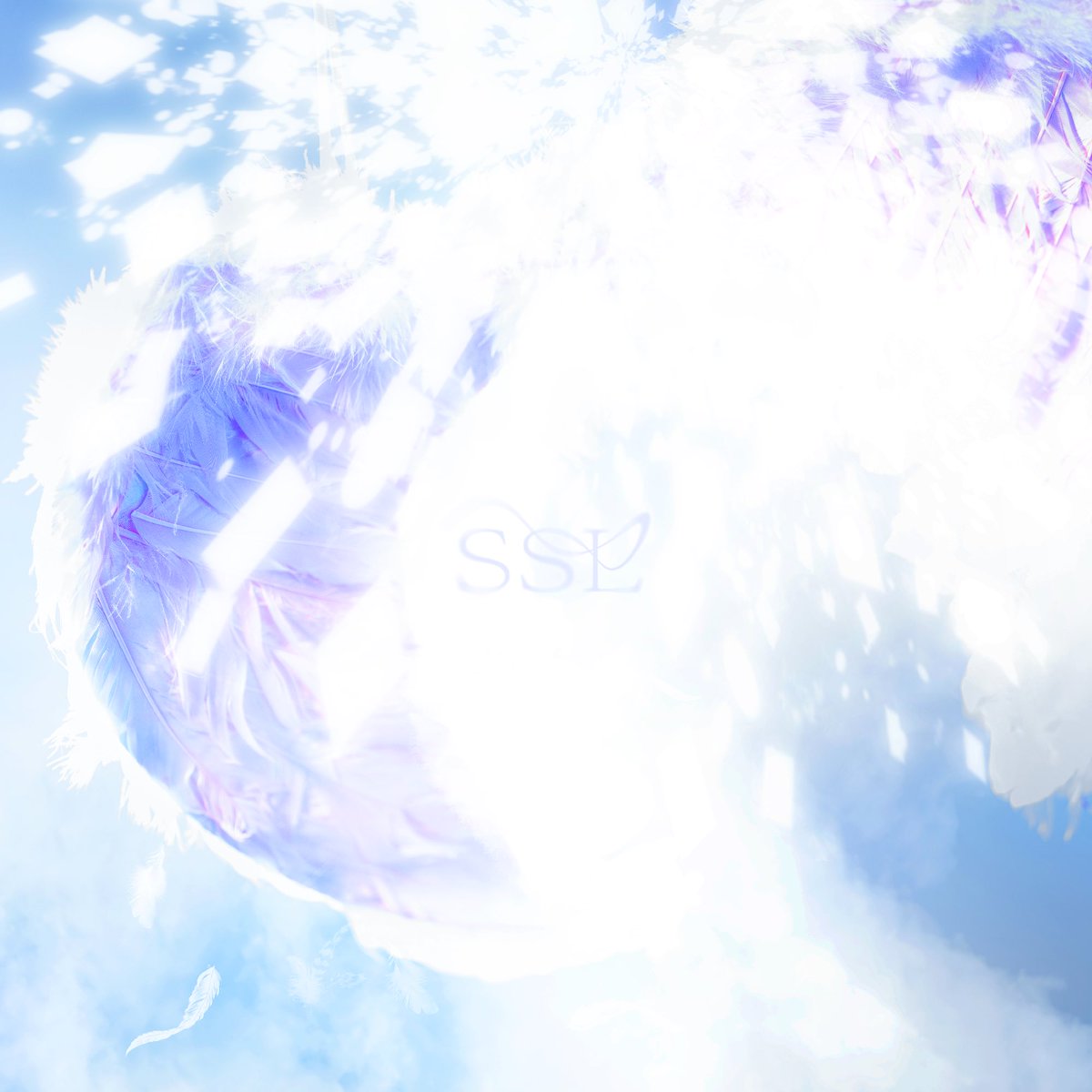 247ehro's tweet photo. SSL dispo partout <3
(c mon premier post lol) https://t.co/z9gz16CrIW