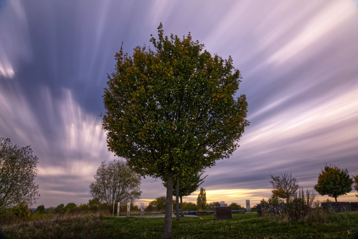 MotleyFuru's tweet image. RT @LittleDevilCom: Ein erstes Ergebnis meines ersten,intensiven Versuchs mit #NDFilter n 😉 
 One of the results of my first intensive attempt with #NeutralDensityFilter

Enjoy 😈

#Tippelsberg #Bochum #Ruhrgebiet #Ruhrpott #SonyAlpha @SonyAlpha #Sony…