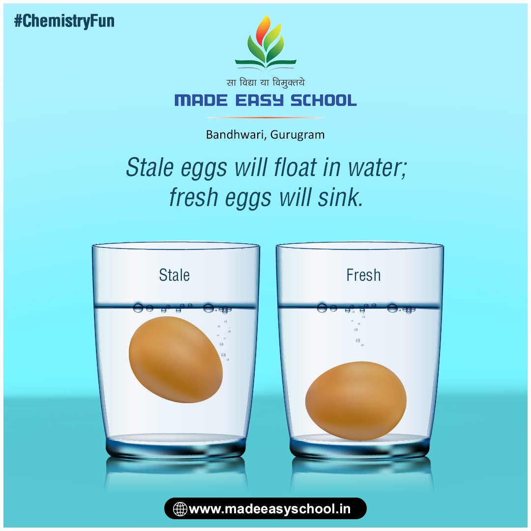 MADEEASYSCHOOLS's tweet photo. Stale eggs have more gas, less water inside them. Gas is lighter than water. So the egg becomes light &amp; less dense than water, causing it to float. 
Try this easy experiment the next time you purchase eggs. Put the eggs in a bowl of water &amp; see if they float/sink.
#chemistryfun https://t.co/ZWPN2LudtW