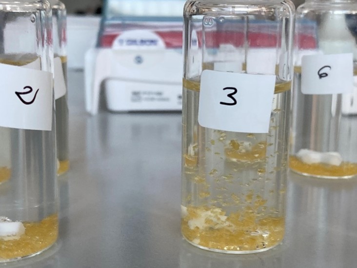 BizenteProject's tweet photo. ♻️ Selected #enzymes applied to degrade #thermoset #compositematerials?
Our partner @biospherebiotec developed a fermentation process tailored to the production of specific #hydrolases for testing their #degradation performances against chemically modified #resins🧫
@CBE_JU https://t.co/9JvwlPXtXF