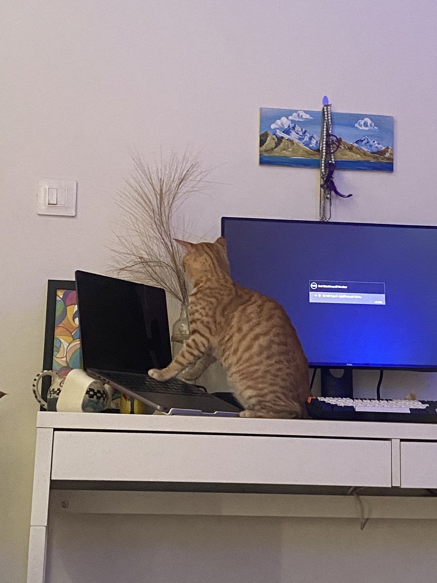 It was doja writing that buggy code all along. Not me <a href="/RazorpayEngg/">Razorpay Engineering</a>