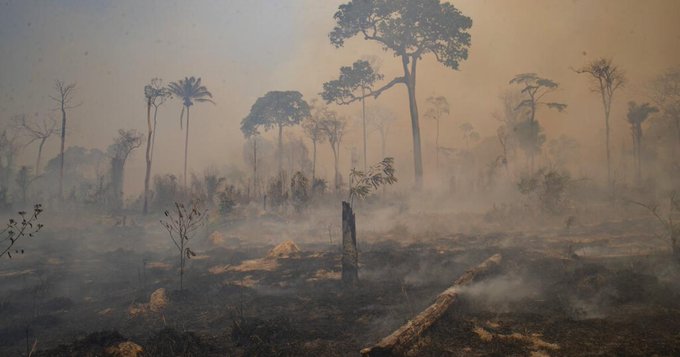How to protect forest defenders in 🇧🇷Brazil? 'Candidates elected at the federal and state levels should commit to strengthening Brazil’s protection programs, including by allocating appropriate resources.' - @deiarauscher @folha⤵️ hrw.org/news/2022/10/1…