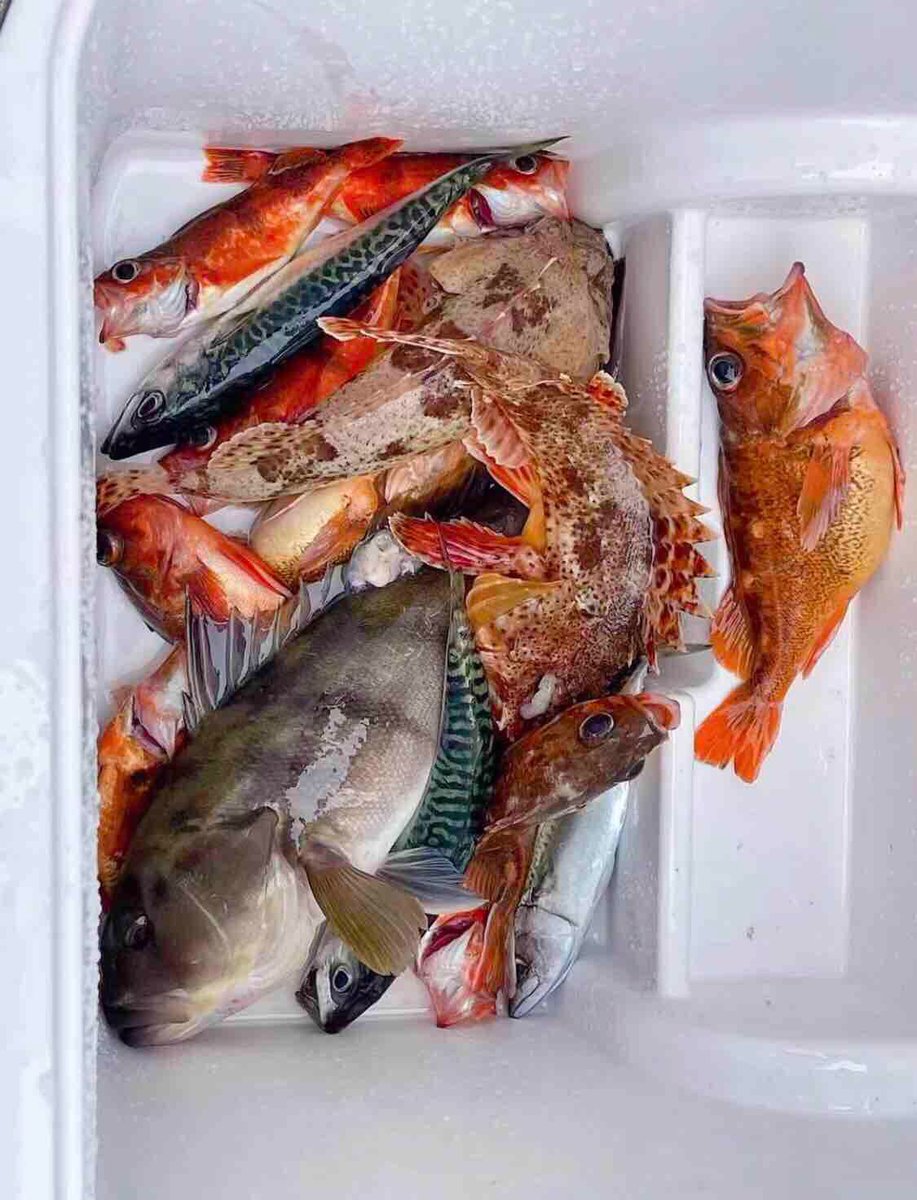 I had a perfect day with my friends.