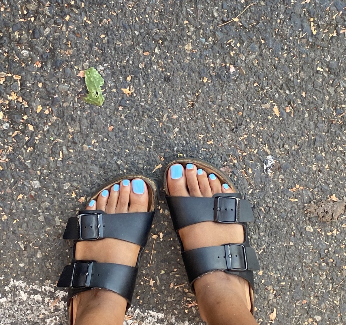 PeachesAnFeet's tweet photo. New sexy Feet pics available cum check them out 🥰
👉🏾https://t.co/cXc3hAkDE8 

@Feetfinder 
#feet 
#feetfethish 
#feetِ https://t.co/YKjXy1yZbX
