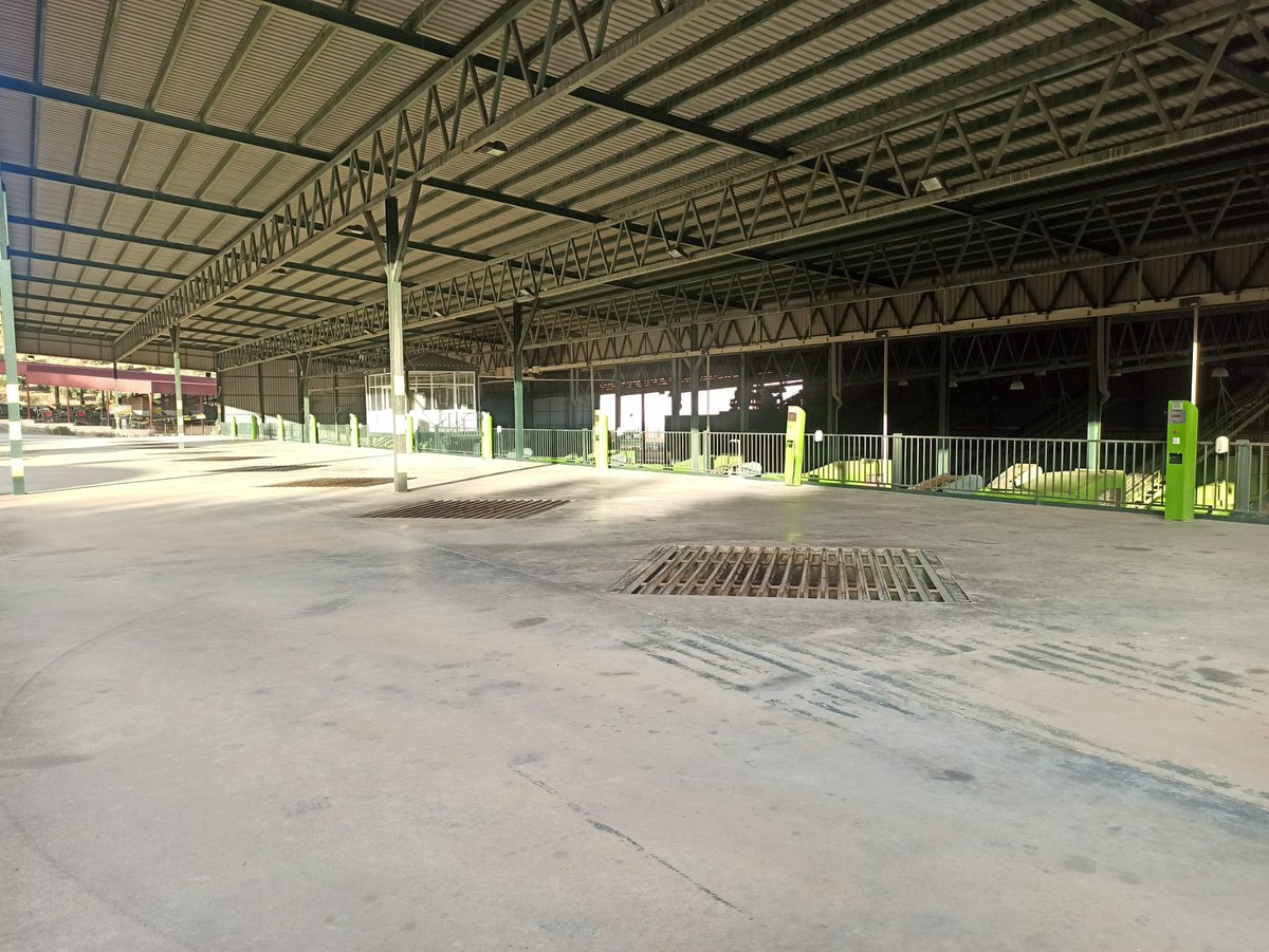 Mañana comenzamos la recolección de aceituna verde para nuestro 🫒 AOVE JABALCUZ Premium. 
Todo preparado‼️