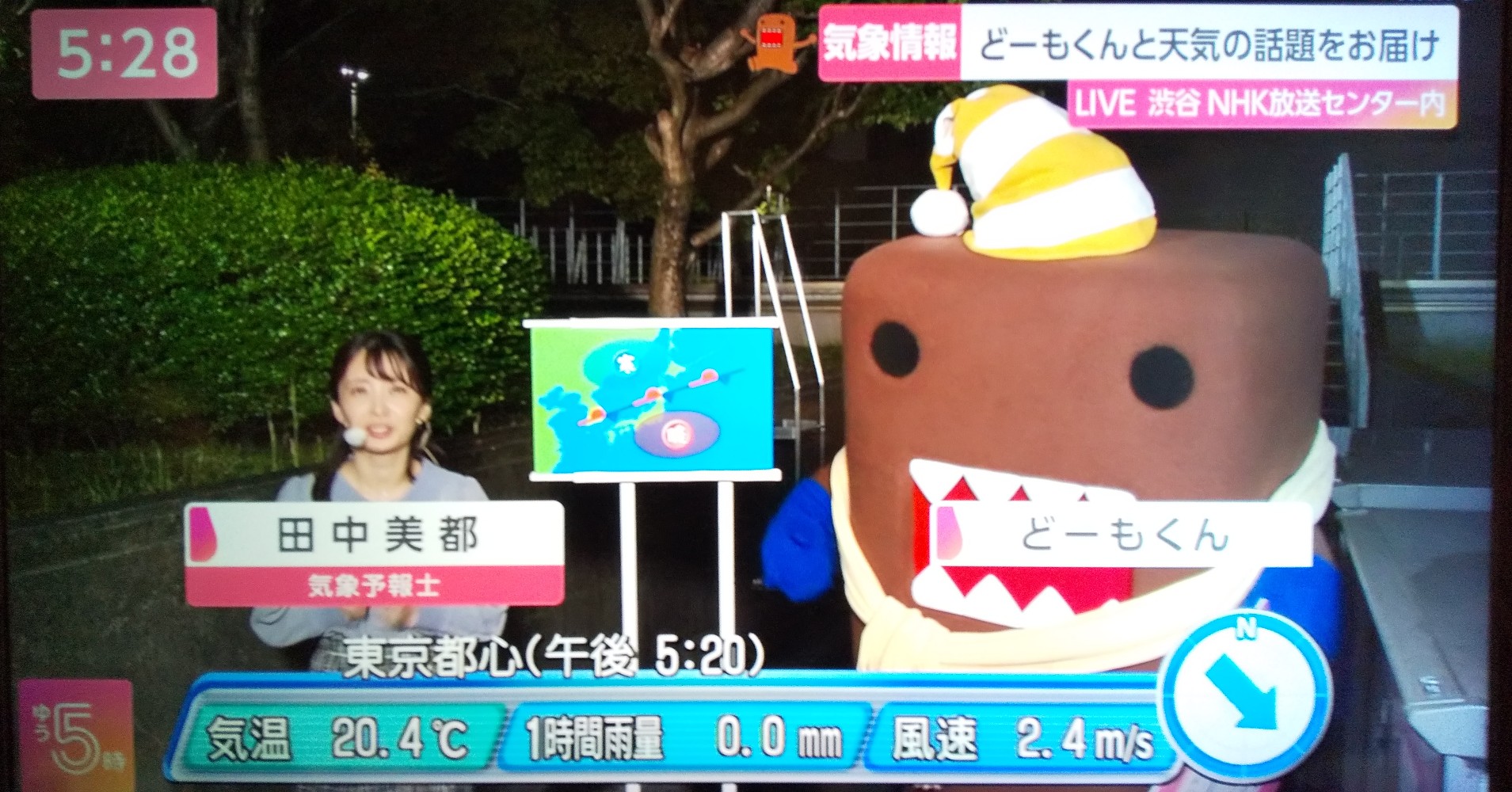 えれな Erenadomolove Twitter