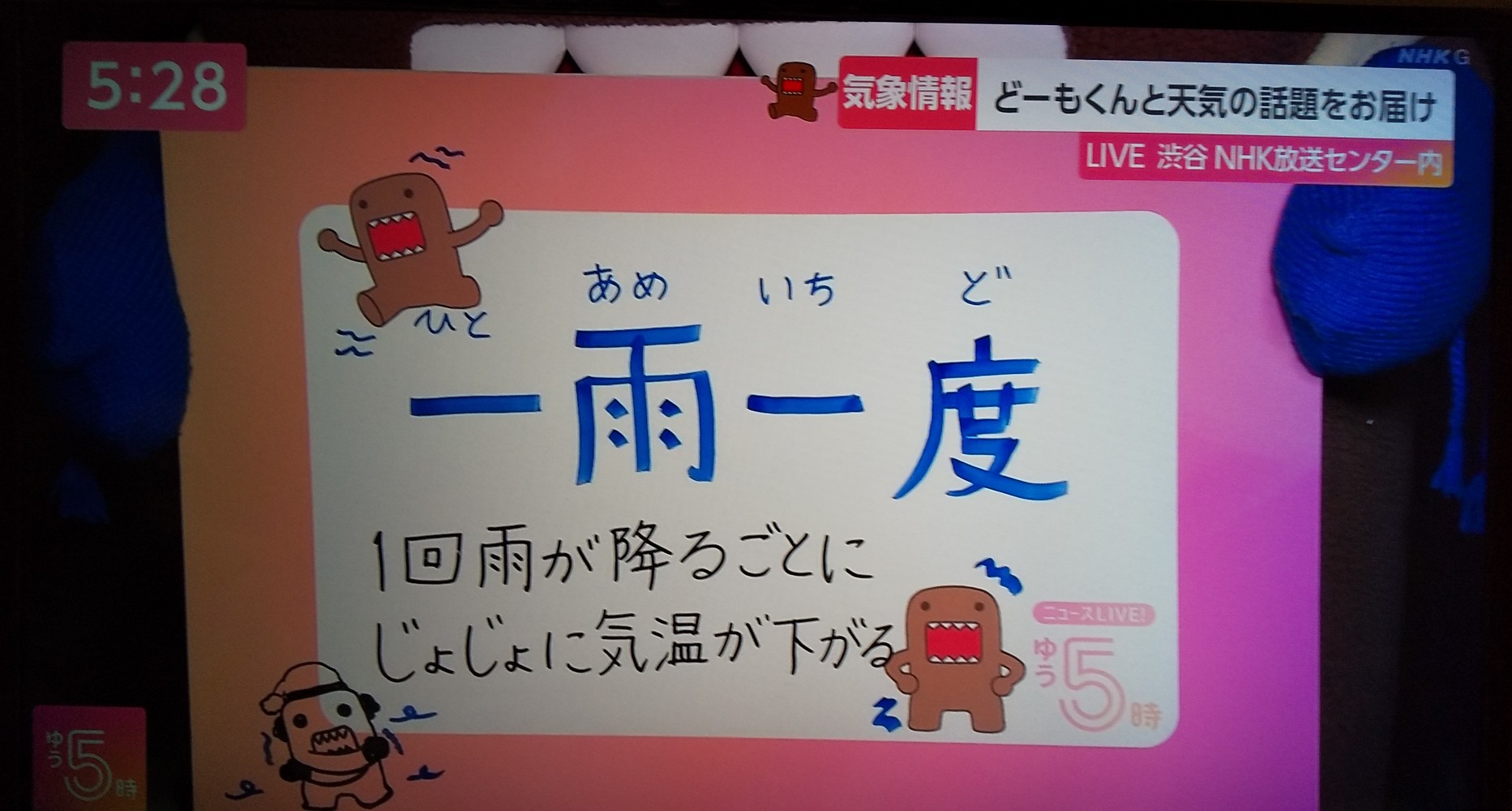 えれな Erenadomolove Twitter