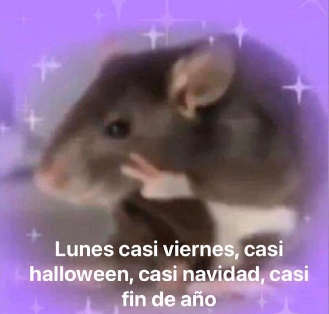 paracetamor's tweet photo. https://t.co/EOaYjjMEPu