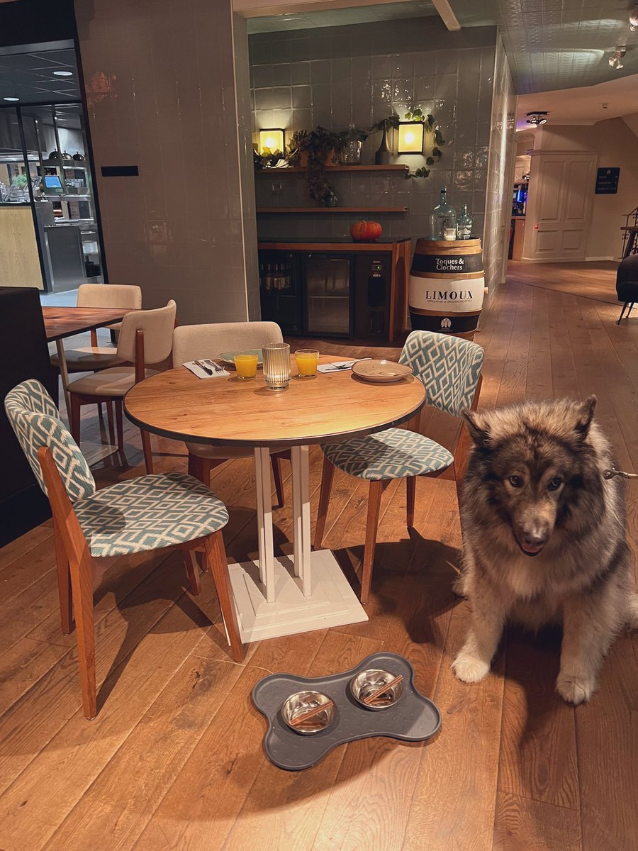 A warm welcome at breakfast for our doggos at our castle stay! Thanks Kasteel Kerckebosch!