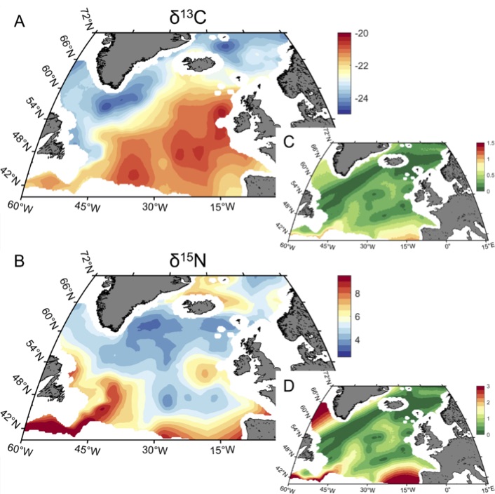New #Isoscpae paper @FrontiersEcolEvol collaboration led by Boris Espinasse with 
<a href="/SturboisA/">Anthony Sturbois</a>
<a href="/JasonIsotopes/">Jason Newton</a>
and others – Adding to a growing tally of marine isoscapes - here looking at the North Atlantic

frontiersin.org/articles/10.33…