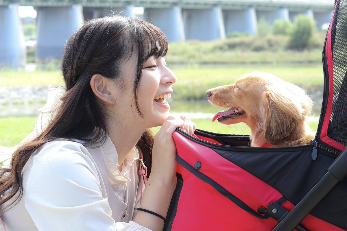 ひまぱん tweet media