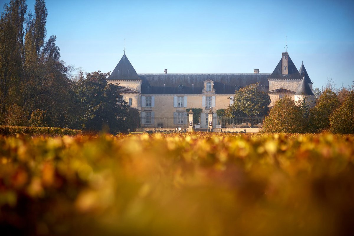 winepaths's tweet photo. Visit Château Suduiraut, a 1er Grand Cru of Sauternes, and taste one of the best Sauternes wines. 🥂
>> https://t.co/qoNAqDJO4A https://t.co/Ku5gMMFh18