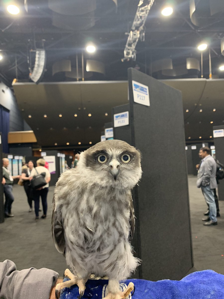 Amazing end to our Pre-Conference day with our very special guests. Can’t wait to see you all tomorrow for Day 1! #ISQua2022