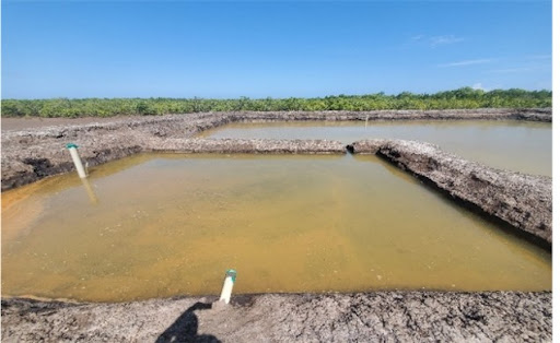 Mwazaro BMU Self-Help Group is a CBO that benefits from Mariculture fish farming project funded by the EU through <a href="/AgriFIcsapp/">AgriFI CS APP</a> 
W/ a component of pond fish farming,it's a game changer for women &amp;PWD to engage in fish value chain &amp; projects to produce 12,000 fish/yr. #WorldFoodDay