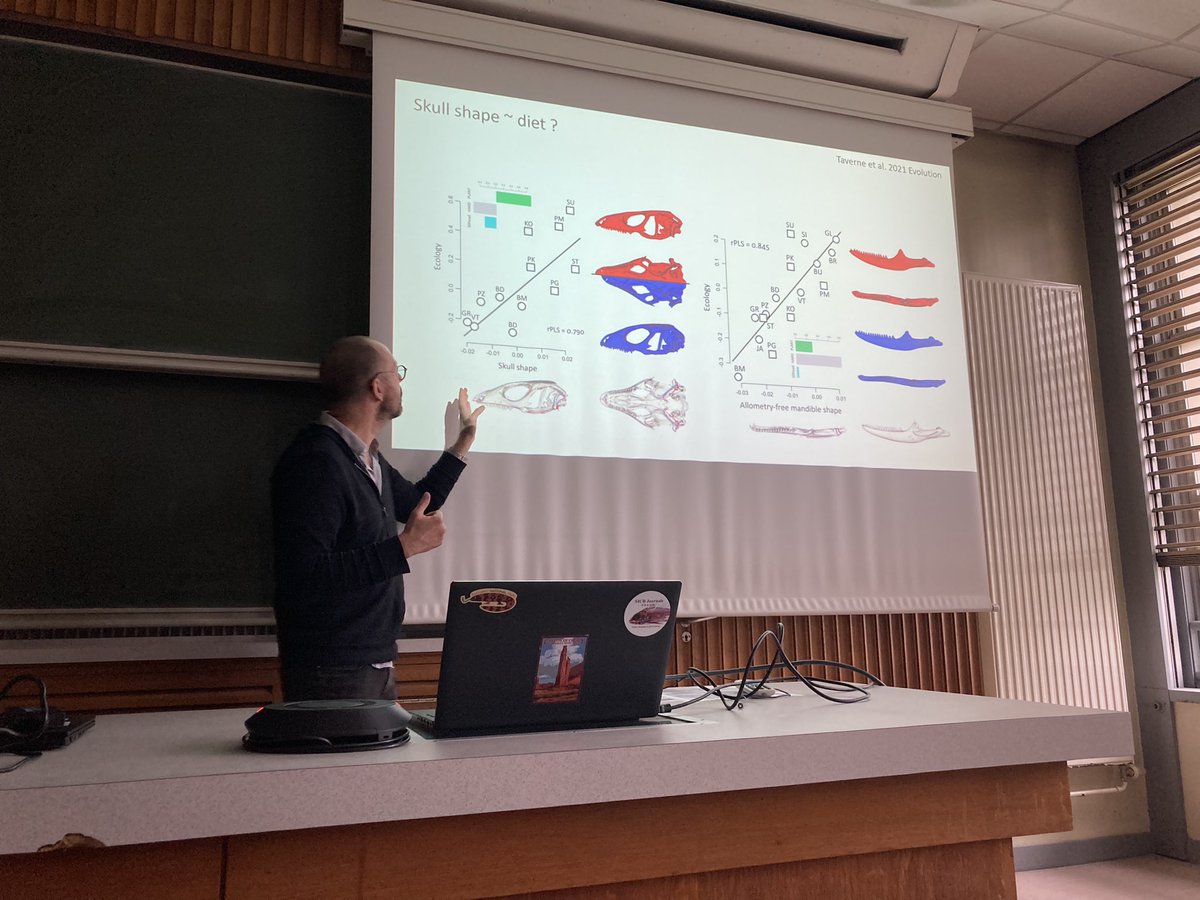 CMSDufour's tweet photo. Amazing talks from @grumpyDrFabre (on metamorphosis evolution) and @AnthonyHerrel (on evolution of insular phenotype in Podarcis lizard) at the Biogeosciences Lab @Univ_BFC https://t.co/fE9Q0sIuuy