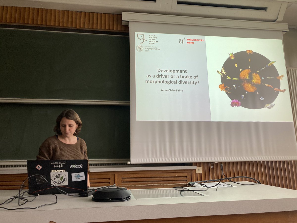 CMSDufour's tweet photo. Amazing talks from @grumpyDrFabre (on metamorphosis evolution) and @AnthonyHerrel (on evolution of insular phenotype in Podarcis lizard) at the Biogeosciences Lab @Univ_BFC https://t.co/fE9Q0sIuuy