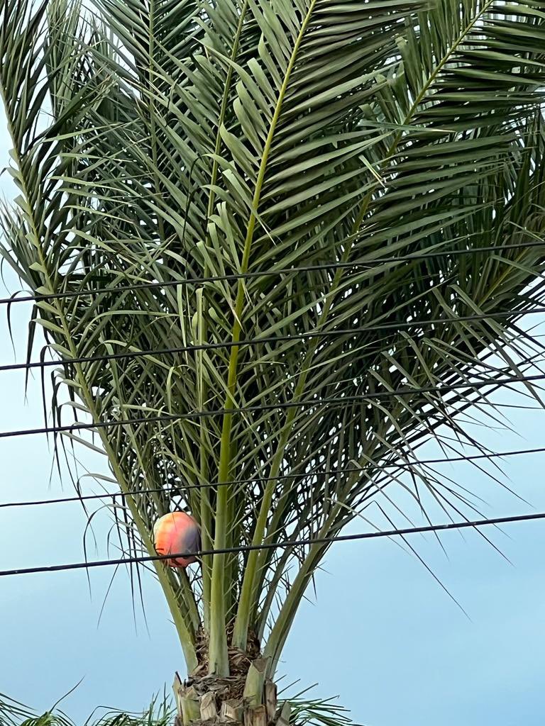 clivemdjacc's tweet photo. Cyprus 2022 @Lostfootballs https://t.co/27I8NGiSbm