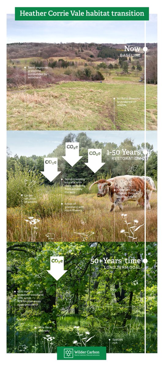 KentWildlife's tweet photo. Kent Wildlife Trust is a proud Trusted Deliverer of @WilderCarbon. Today, at the @NatureFinance Conference 2022, the first #WilderCarbon projects opened sales of #conservation grade #carbon units for UK Approved Buyers to support #naturerestoration.

https://t.co/LjGLRrZQVC https://t.co/mqp0VaAMTE