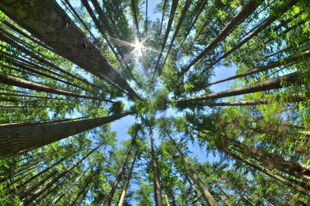 RacsAfrica's tweet image. National Trust’s CIO on the need for sustainability storytelling

Sustainability starts with storytelling and improving visibility across supply chains, says National Trust CIO Jon Townsend. 
 
zcu.io/wabx 

#vmware #racs #itmanagedsolutions