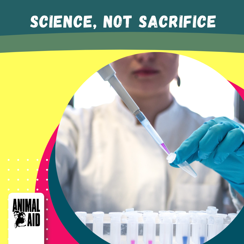 AnimalAid's tweet photo. Today's the day! Our 'Future of Science' student conference brings together a variety of research leaders in non-animal testing – and we look forward to sharing a snapshot of the day with you later this week! 💚🧬🧫🧪

#ScienceNotSacrifice #BetterScience #AnimalFreeResearch https://t.co/fAIqJljsyE