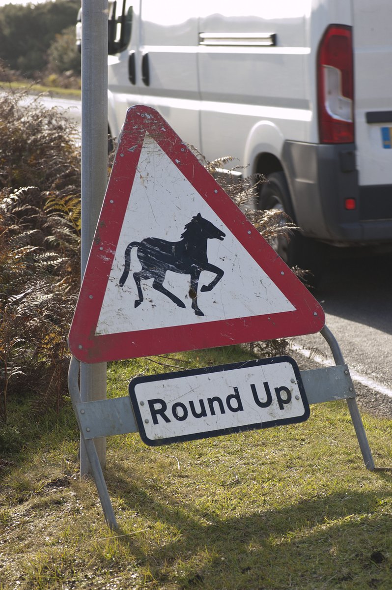 The Verderers are providing advance notice of #NewForest drifts

This week's drifts
Tues 18th Cancelled
Fri 21st at Amberwood/Turf Hill
Sun 23rd at Withybeds

For your own safety please look out for the warning signs &amp; avoid the area of the drift.

verderers.org.uk/announcements/…