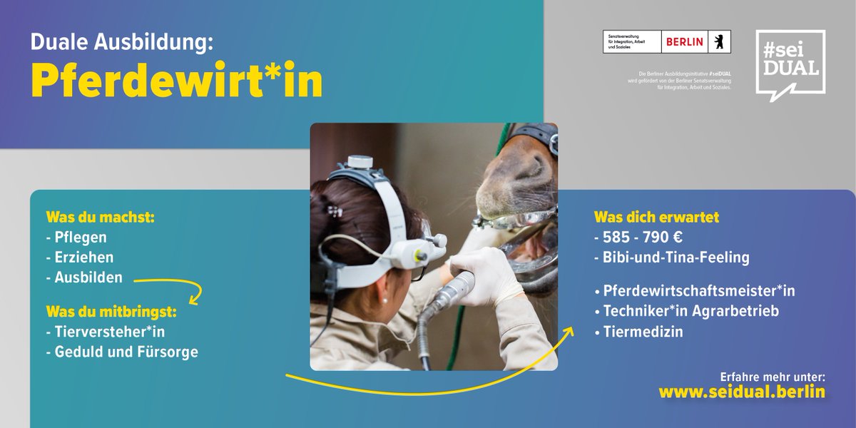 sei_dual's tweet photo. Sie suchen für Ihren Hof noch ruhige und geduldige Pferdeflüster*innen? Wir vermitteln für Sie! Eintragen und Azubis finden: https://t.co/89iHHSlG8S
#seiDUAL #berufsorientierung #praktikum #berlin #ausbildung #job #berufswahl #beruf #reiten #pferd https://t.co/J7m7dvn3v3