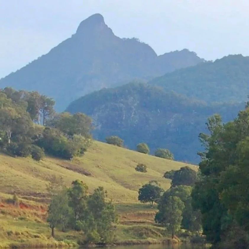 BigVolcano's tweet photo. #MountWarningMonday "The real voyage of discovery consists not in seeking new landscapes, but in having new eyes." ~ Marcel Proust

#visitbigvolcano #mountwarning #wollumbin #uki #stokerssiding #tweedhinterland #landscape #mountainscape #ruralscene #nort… https://t.co/ytOAbd0dKW https://t.co/IVJGAY9UCS
