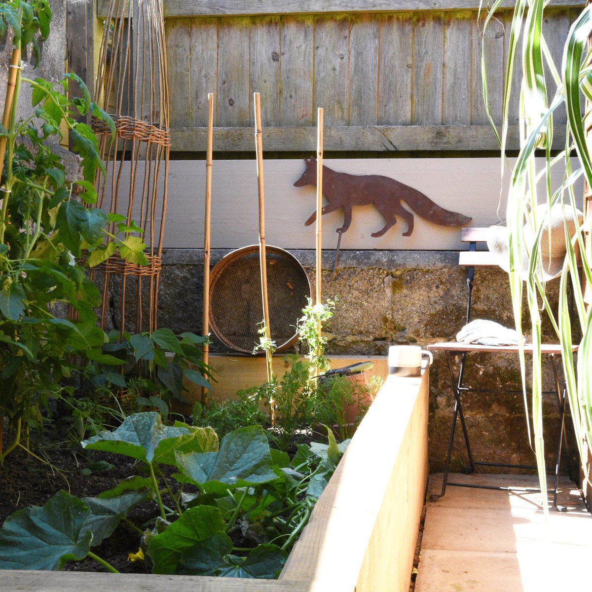 Clara_Create's tweet photo. Mr Fox’s Veg Patch.
I have a very small patch of earth tucked away beside my studio which has been abandoned since we moved to our home some years ago; just brambles and weeds loved to grow there and we were happy to let them. Read more here: https://t.co/VayKlBBivR https://t.co/zooX1JUemn