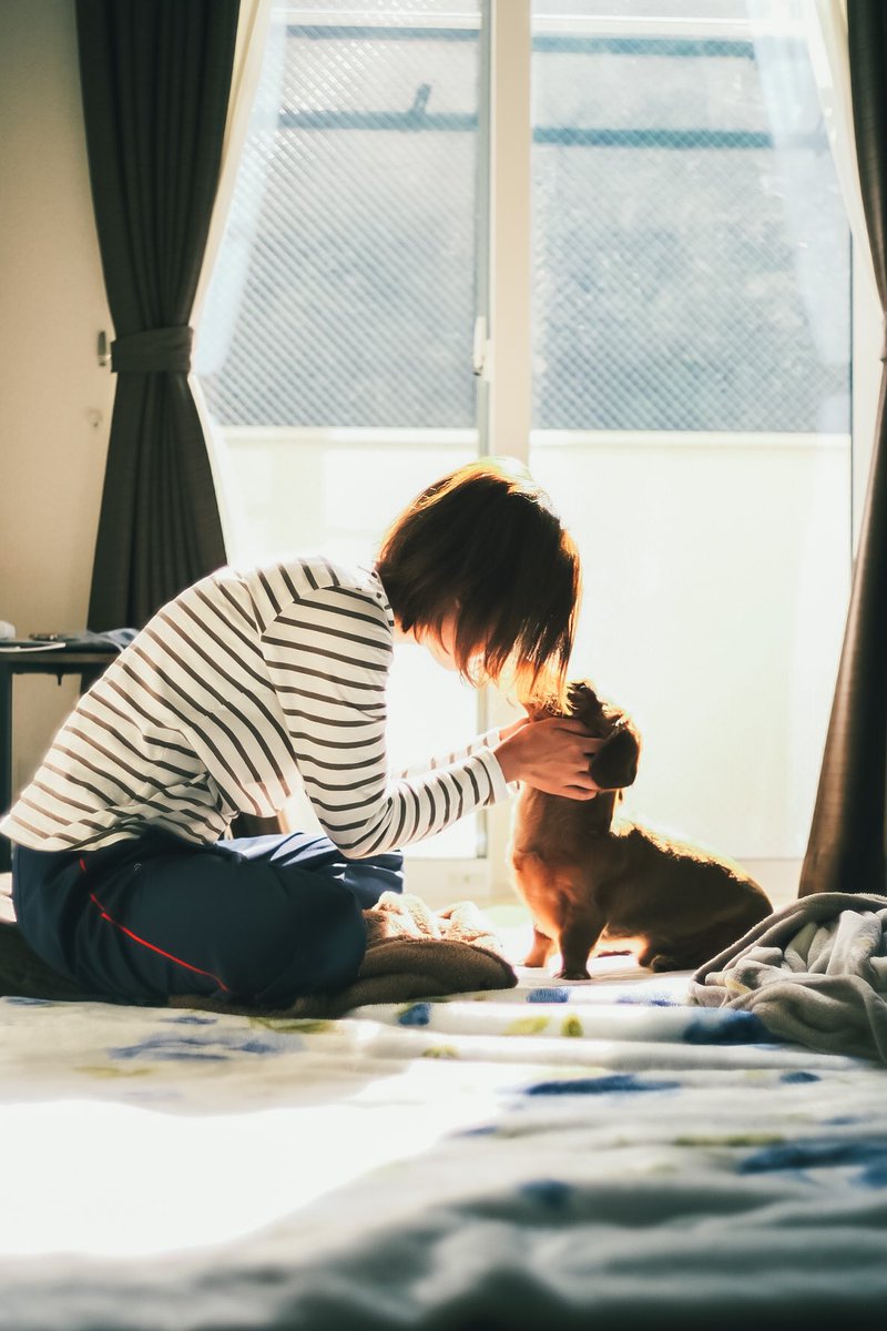 ty__photo's tweet photo. ほっこりする瞬間

嫁と愛犬(アーロン)はラブラブです🐶

愛おしい

#fujifilm 
#fujifilm_xseries 
#富士フイルム 

#いぬのいる暮らし 

#写真好きな人と繫がりたい 
#カメラ好きな人と繋がりたい 
#ファインダー越しの私の世界 
#写真で伝える私の世界 https://t.co/4z0wbtqrBE