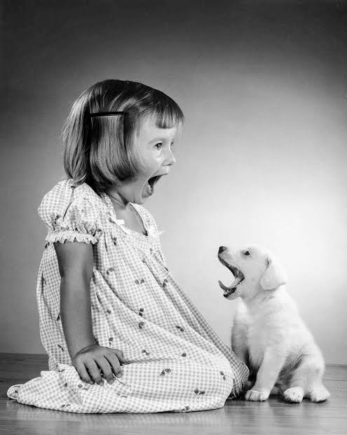 CarloAbril2's tweet photo. 📸 Walter Chandoha
American, Photographer (1920-2019) https://t.co/LaqqyQs1O1