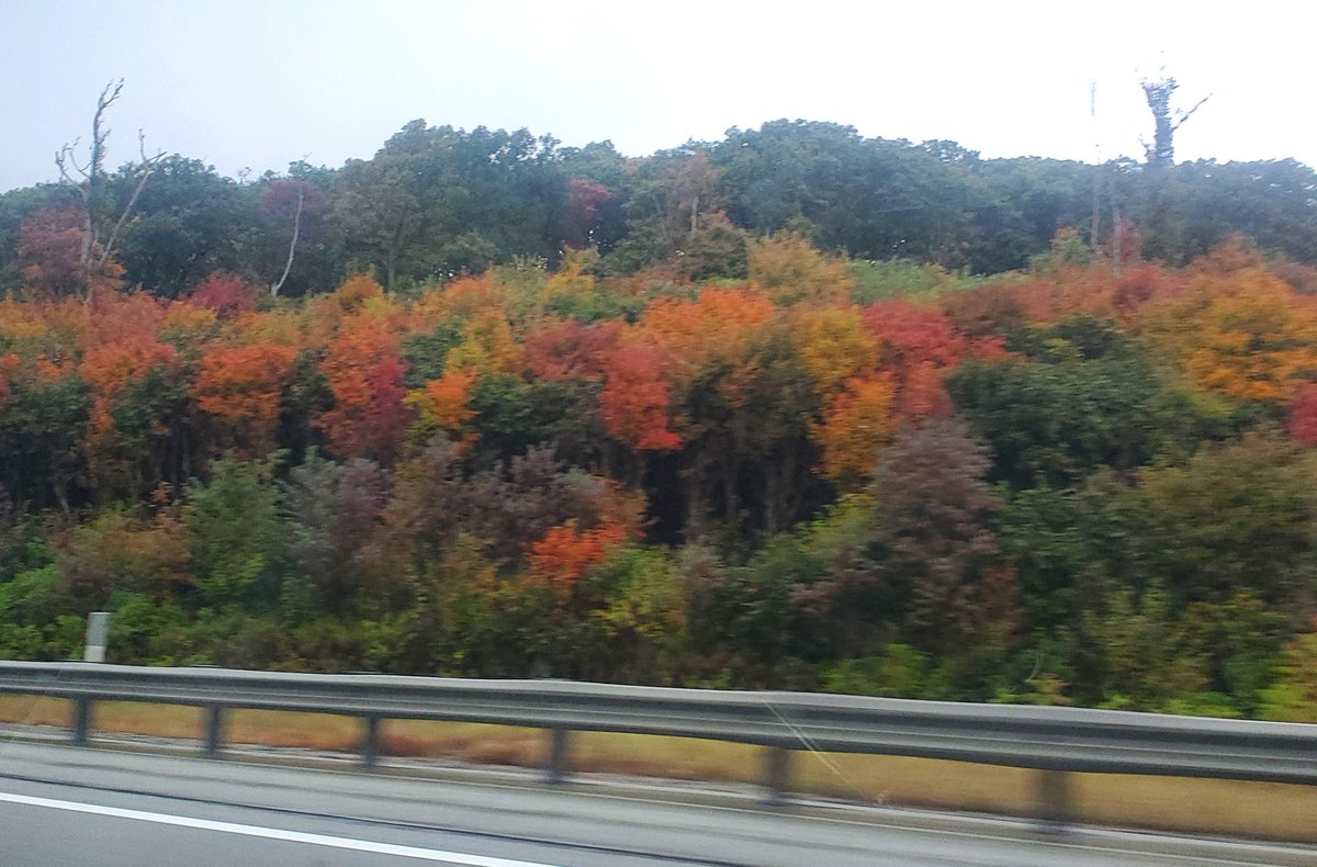 thorpiePie's tweet photo. 36 ✅️
october bucketlist road trip new york -> vermont -> new hampshire -> maine -> massachusetts-> connecticut-> pennsylvania 🍃🍁🍂 ✅️
10/10 can confirm ✅️ https://t.co/nYTtbGWCMb