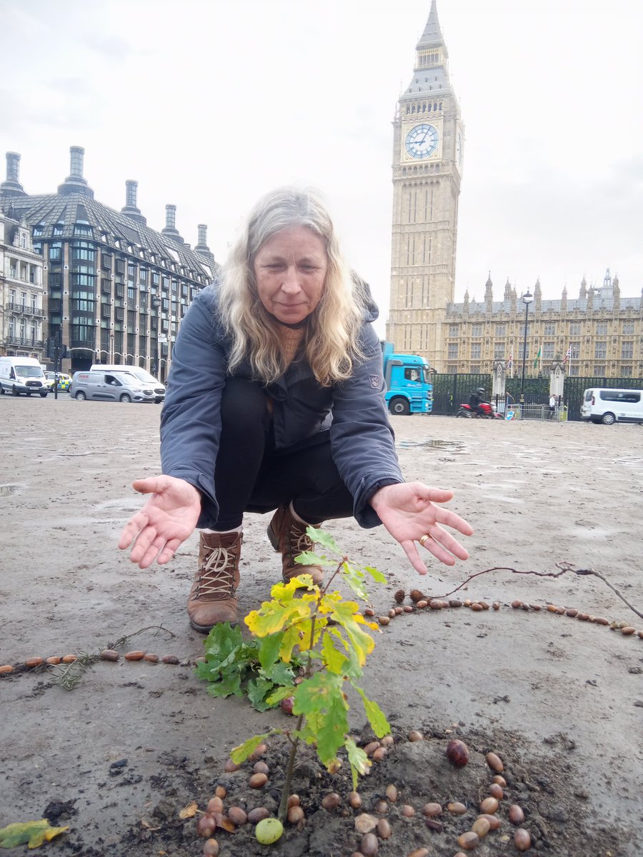 LarchMaxey's tweet photo. Despite howling rain overnight we're protecting Parl. Square's new tree 4 hope &amp; resistance vs Climate &amp; Nature Breakdown letter 2 @SadiqKhan
https://t.co/HW33XBtBU6
Join us #ExtinctionRebellion #XRYN #treeprotectors #CEE #Tree #democracy #CivilResistance https://t.co/ks5603ob6I