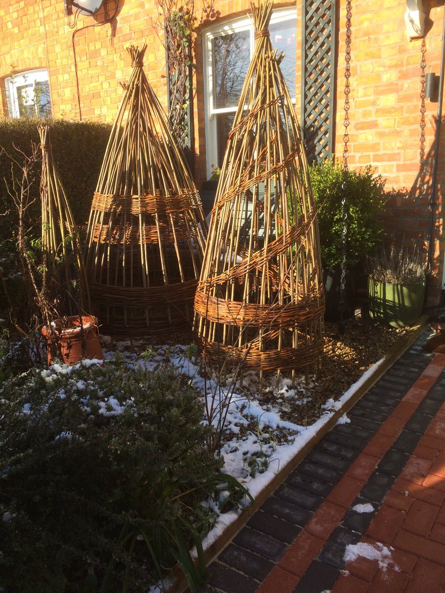 Busy  #weaving a batch of 60+ #willow obelisks for a customer in Yorkshire. Standard sizes 0.8-2.3m tall, prices from £19.95 &amp; <a href="/OnlyBespokeUK/">Only Bespoke</a> options 25-100cm diameter standard or spiral design all <a href="/handmadebritain/">Handmade in Britain</a> in our workshop in the old village of Milton Keynes