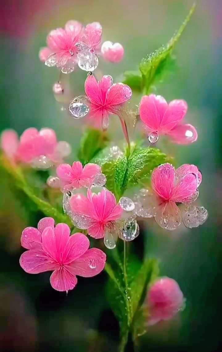 TLeoni311's tweet photo. Beautiful day &amp; Fantastic new week for all https://t.co/hRM7kUFyfu