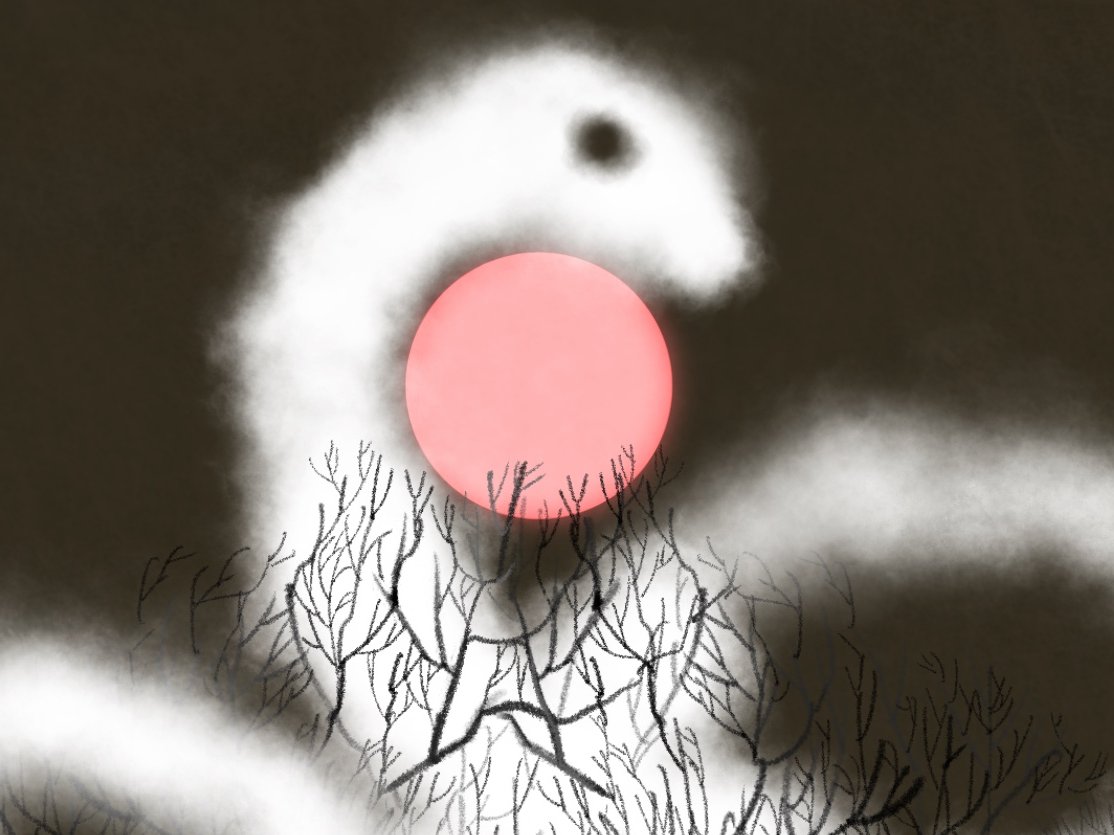 QooLuck 쿨럭 NFT 🍾🐿 tweet media